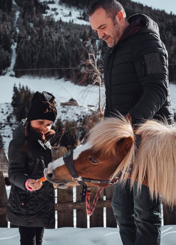 Ein Pony kennenlernen