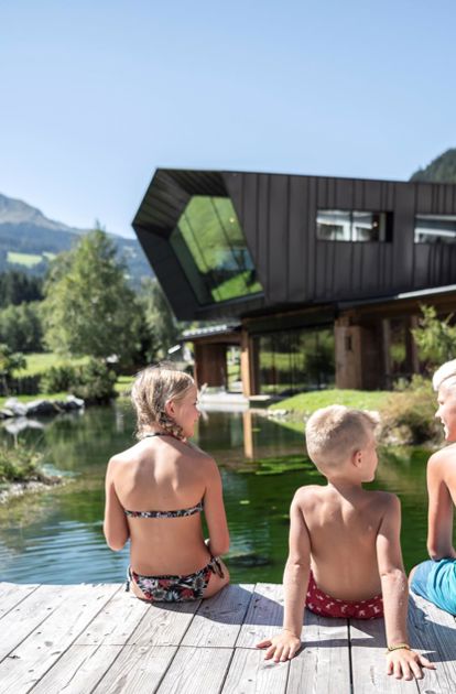 Chalet mit Pool